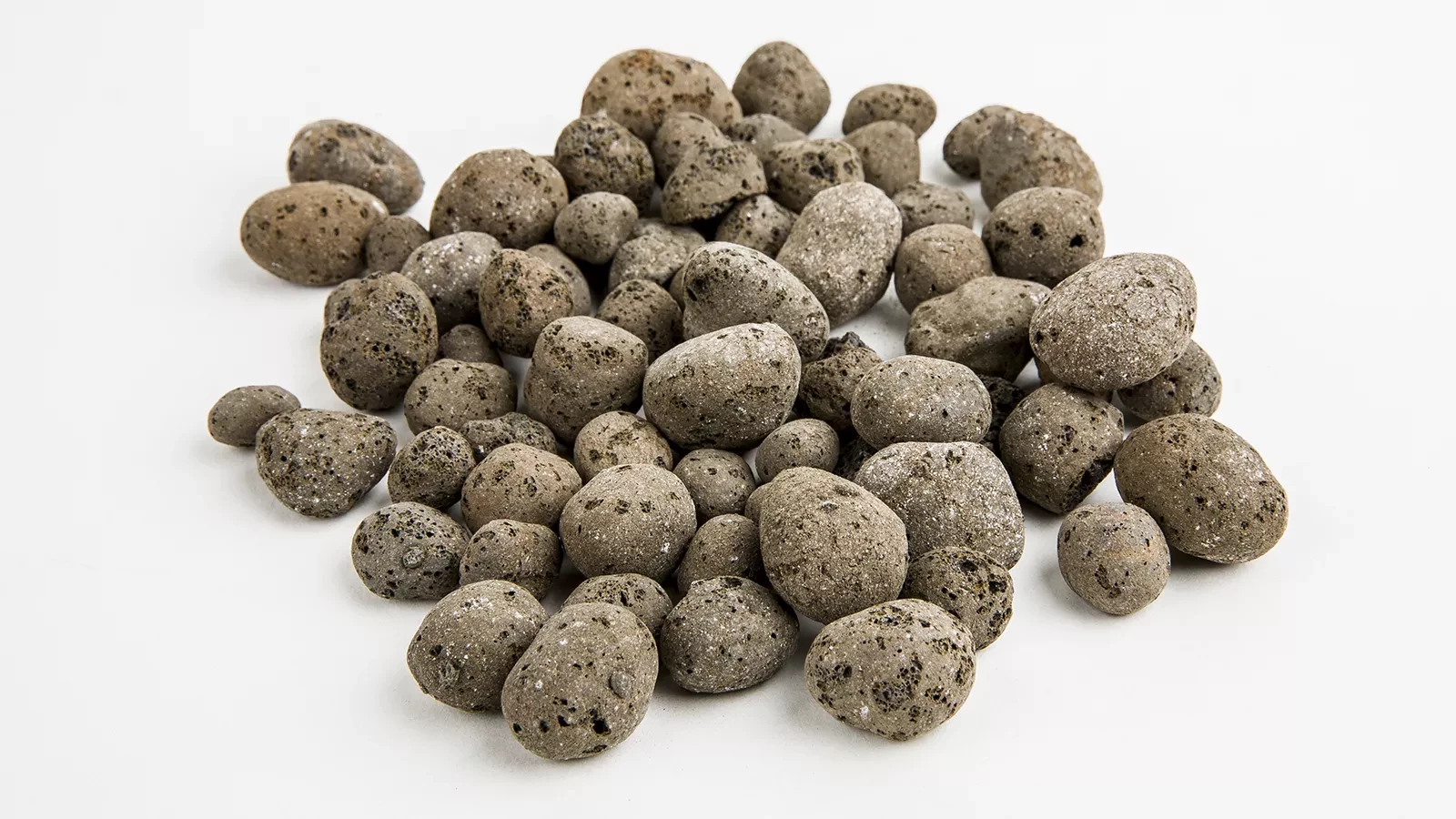 Lecanødder & -ærter